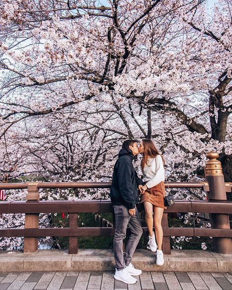 #couples #photo#spring Young Couples Photography, Japan Travel Photography, Chains Design, Cherry Blossom Pictures, Couple Travel Photos, Japan Cherry Blossom, Travel Pose, Adventure Life, Adventure Couple