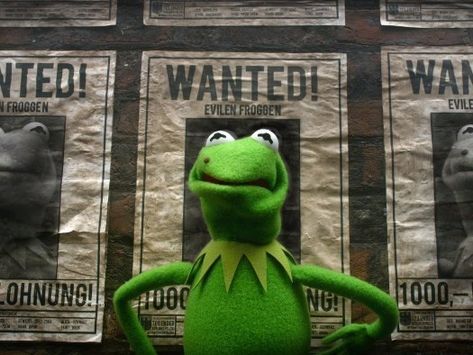 Muppets Most Wanted - http://www.weltenraum.at/muppets-most-wanted/ Ty Burrell, Die Muppets, Single Jokes, The Muppet Movie, Muppets Christmas, Wanted Movie, Muppets Most Wanted, Frog Life, Muppet Christmas Carol