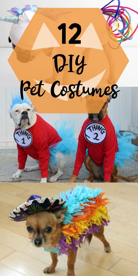 Halloween Pet Costumes: A dozen fun pet costume ideas you can DIY for your pet for Halloween. Halloween | costume | pets Pet Family Halloween Costumes, Pet Halloween Costumes Dogs, Diy Dog Costumes Pets, Diy Pet Costumes Dogs, Dog Costumes Homemade, Diy Halloween Costumes For Dogs, Creative Dog Costumes, Costume Ideas For Dogs, Pet Costume Ideas