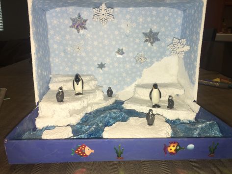 Shoe Box Diorama, Rainforest Crafts, Habitats Projects, Creative Activities For Kids, North Pole, Creative Activities, Shoe Box, Penguins, Activities For Kids