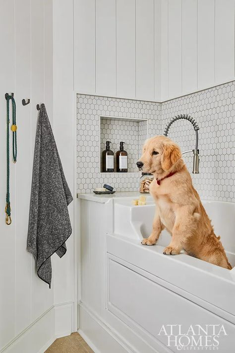 With A Twist - Atlanta Homes and Lifestyles Penny Tile Floor, Dog Wash Station, Kid Friendly Bathroom, Dog Room Design, Best Cat Breeds, Atlanta Homes And Lifestyles, Wash Station, Washing Station, Stylish Laundry Room