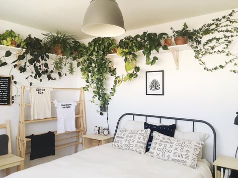 Long Plant Shelf Above Bed, Over The Bed Plant Shelf, Boho Bedroom Shelf Above Bed, Above Bed Shelf Styling, Plant Shelves Over Bed, Bedroom Plant Shelf Above Bed, Long Shelves Above Bed, Plant Shelves Above Bed, Plants Above Bed Shelves