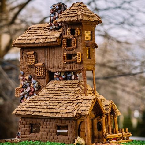 Gingerbread House Designs Creative, Igloo Gingerbread House Ideas, Cereal Gingerbread House, Unusual Gingerbread Houses, Gingerbread Treehouse Ideas, Fancy Gingerbread House Ideas, Harry Potter Gingerbread House Ideas, Gnome Gingerbread Houses, Gingerbread House Trees Ideas