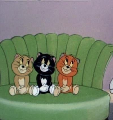 3 Kittens, Too Cute To Handle, Tom And Jerry Cartoon, Cartoon Disney, Tom Jerry, Good Cartoons, Cartoon Icons, Old Cartoons, Funny Reaction Pictures