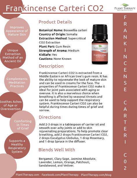 Essential Oils Hair, Copaiba Essential Oil, Plant Therapy Essential Oils, The Three Kings, Thyme Oil, Essential Oil Plants, Aromatherapy Essential Oils, Frankincense Essential Oil, Plant Therapy