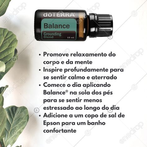 Balance Doterra, Abode Doterra, Doterra Vetiver, Doterra Bergamot Mint, Deep Blue Doterra, Balance Doterra Brasil, Doterra Balance, Lemon Grass, Doterra