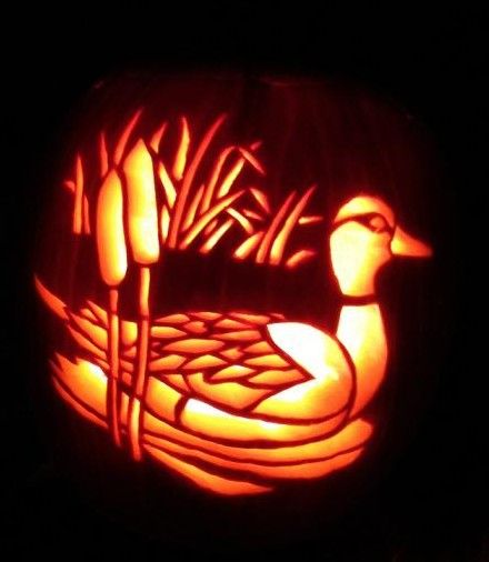 Duck cut out pattern from Stoneykins.com Carved by WynterSolstice on a real pumpkin Duck Pumpkin Carving, Goose Pumpkin Carving, Cute Western Pumpkin Carving Ideas, Deer Pumpkin Carving Ideas, Duck Pumpkin Carving Ideas, Chicken Pumpkin Carving, Duck Pumpkin, Western Pumpkin Carving Ideas, Chicken Pumpkin