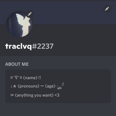 Bios For Discord Ideas, Matching Names On Discord Ideas, Discord Bio Layout Ideas, Discord Bio Ideas Baddie, Y2k Names For Discord, Discord Profile Ideas Bio, Usernames Ideas Discord, Grunge Bio Ideas, Discord Username Ideas Grunge