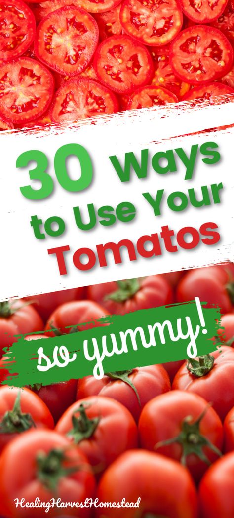 Do you have too many tomatoes and need some ideas for what to do with them? Here are 30 recipes for cooking, preserving, and using up those tomatoes in delicious, healthy ways. Salads, baked ideas, fermented tomatoes, sauces, jams, and LOTS more! Just click through for tons of tomato ideas! #healingharvesthomestead #tomatorecipes #fermentedtomatoes #dehydrated #dehydrate #tomatosauce #canning #fermenting #tomato #tomatoes #easy #healthy #yummy #healthyfoods Fermented Tomatoes, Roma Tomato Recipes, Garden Tomato Recipes, Tomato Ideas, Too Many Tomatoes, Recipe Using Tomatoes, Homestead Cooking, Canning Tomatoes Recipes, Tomato Harvest