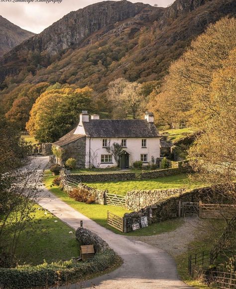 Landscape Edging Stone, Yew Tree, Landscape Edging, Dream Cottage, Landscape Photography Nature, Tree Farm, English Cottage, Tree Farms, English Countryside