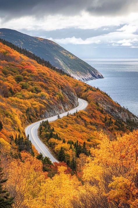 "🍁🚗 Experience the Cabot Trail in Nova Scotia! Enjoy stunning coastal views, charming villages, and vibrant fall colors on this scenic drive through Canada’s maritime beauty. 🌊🍂 #CabotTrail #NovaScotia #ScenicDrive" Cabot Trail Nova Scotia, Mountain Man Clothing, Cabot Trail, Nova Scotia Canada, Drive Through, Mountain Man, Scenic Drive, Nova Scotia, Places Around The World