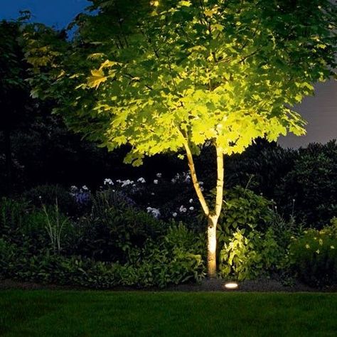 Garden Lighting Design, Lighting Exterior, Landscape Lighting Design, Outdoor Garden Lighting, Outdoor Landscape Lighting, Garden Types, Backyard Lighting, Patio Lighting, Outdoor Solar Lights