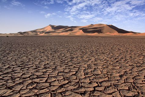 #Sahara desert Barren Land, Natural Wonders Of The World, Northern Africa, Desert Land, Hot Desert, Country Summer, Beautiful Places On Earth, Sand Dunes, Africa Travel