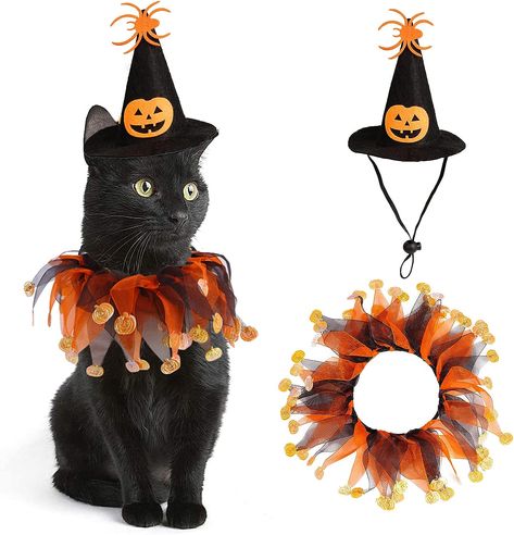 Cat Witch Halloween Costume Suit, Hmxpls Small Dogs & Cats Tutu Collar and Witch Pumpkin Hat Cute Costume Suit Kitten Outfit Clothing for Birthday Party Thanksgiving Christmas Holiday #cats #dog #cute #halloween #costumesuit Halloween Collar, Halloween Costume Suit, Chat Halloween, Cat Halloween Costume, Pumpkin Hat, Witch Halloween Costume, Pumpkin Costume, Pet Halloween Costumes, Halloween Hats