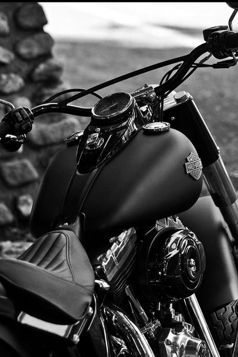 Hd 883 Iron, Hd Fatboy, Motocykle Harley Davidson, Xe Ducati, Мотоциклы Harley Davidson, Harley Davidson Tattoos, Motos Harley, Harley Davidson Wallpaper, Image Moto