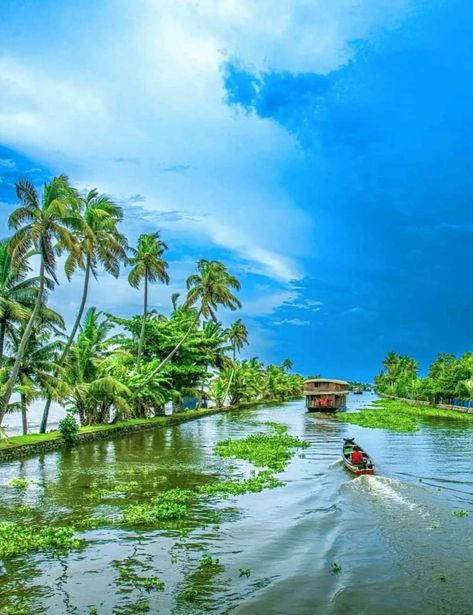 Beauty of Alapuzha (Alleppey), Kerala, India 💖   Credit   Disclaimer; photos / videos are not mine.💖 Portrait credit : - Respected owner ( DM for credit or removal ) Alleppey Kerala, Kerala Travel, Kerala India, Morning Flowers, Good Morning Flowers, Not Mine, Kerala, Good Morning, India