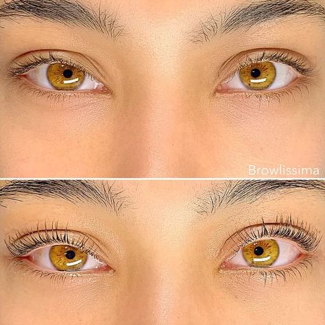 Eye Color Aesthetic, Amber Eyes Aesthetic, Honey Eyes Color, Amber Eyes Color, Lash Lift Training, Pretty Eyes Color, Light Brown Eyes, Honey Eyes, Beautiful Eyes Color