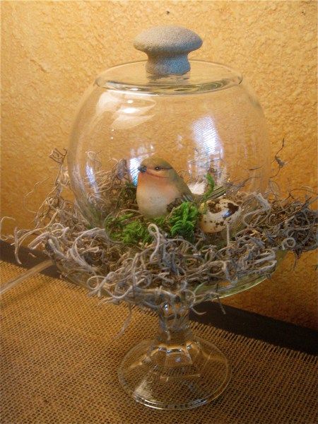 Glass Cloche Decor, Nails Acrylic Christmas, Cloche Decor, Garden Crafts Diy, Dollar Tree Diy Crafts, Spring Easter Decor, Bird Decor, Spring Diy, Tree Crafts