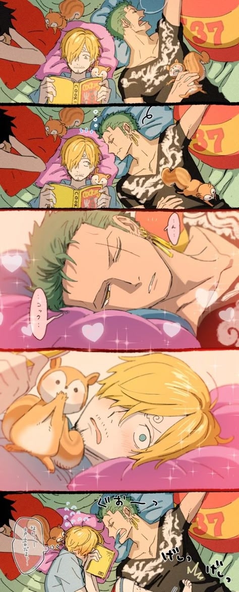 One Piece Zoro X Sanji, One Piece Zosan, Sanji X Zoro, Zoro And Sanji, Genos Wallpaper, Sanji Zoro, Zoro X Sanji, One Piece Cartoon, Hxh Characters