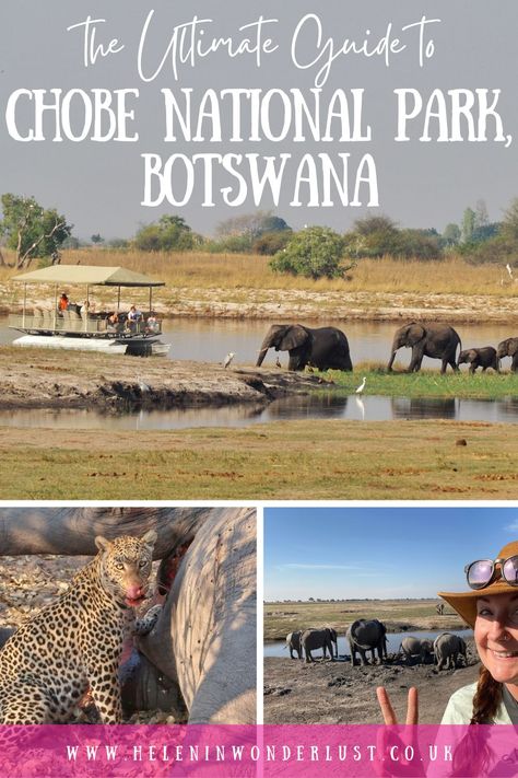 The Ultimate Guide to Chobe National Park, Botswana Chobe National Park Botswana, Botswana Travel, Chobe National Park, Victoria Falls, Out Of Africa, England And Scotland, Southern Africa, Adventure Tours, African Safari