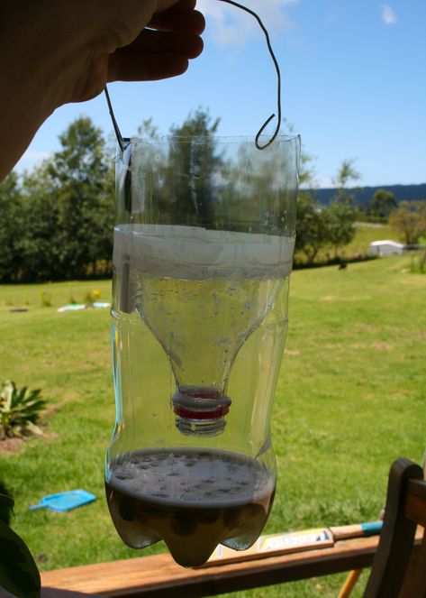 How to Make a Homemade Fly Trap with a Regular Plastic Bottle - Clean Eating with kids How To Catch Flies, House Fly Traps, Best Fly Trap, Flies Trap Diy, Homemade Fly Traps, Plastic Bottle House, Diy Fly Trap, Fly Bait, Bottle House