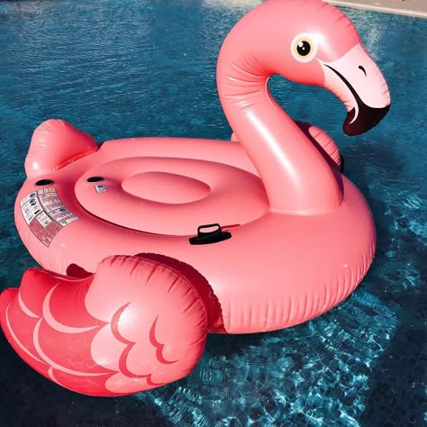 Custom Wholesale Best Swim Pool Inflatable Baby Boat Adult Inflatables Flamingo Costume #adultinflatablesflamingocostumewholesale #inflatableflamingofloatringwholesale #inflatableflamingosfloatforchildrenwholesale Flamingo Pool Float Aesthetic, Floaties For The Pool, Floats For Pool, Best Pool Toys, Flamingo Floaties, Swimming Floats, Flamingo Inflatable Pool, Pool Inflatables, Ring For Kids