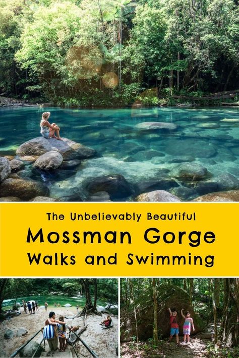 Mossman Gorge walks, swimming and Mossman Gorge itself … what can I say? It’s unbelievably beautiful and you should absolutely visit. Travel Queensland, Mossman Gorge, Queensland Australia Travel, Tropical Queensland, Queensland Travel, Dream Location, Cape York, Australia Trip, New Zealand Adventure