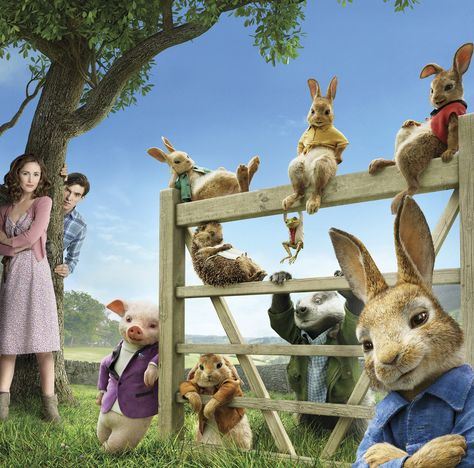 Peter Rabbit Movie, Full Mon, Sam Neill, Rose Byrne, 2018 Movies, Daisy Ridley, Tv Series Online, Movies And Series, Hindi Movies