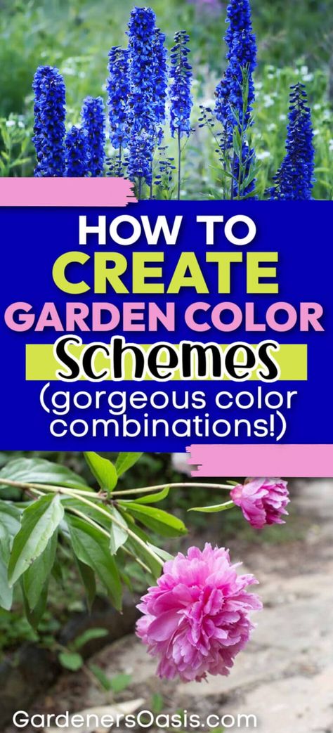 I love these ideas for creating gorgeous garden color schemes. I am updating my backyard landscaping and these tips made choosing the plants so much easier. Flower Color Schemes Garden, Color Palette For Garden, Garden Colour Schemes Plants, Color Palette Garden, Purple Perennials Landscapes, Colorful Landscaping, Patio Flowers, Red Color Schemes, Color Plan