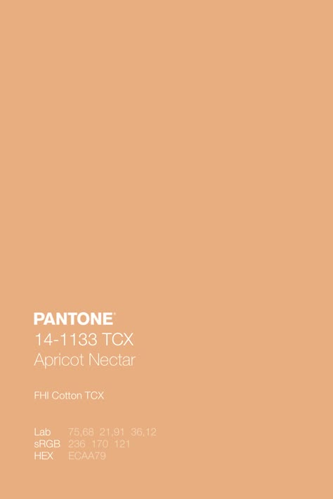 Complementary colors, when used together in color schemes, are especially dynamic and pleasing to the eye. · #Color #ColorPalette #Green #Mint #Orange #PANTONE12-4304TCXBluewash #PANTONE13-5305TCXPaleAqua #PANTONE14-1133TCXApricotNectar #PANTONE16-5907TCXGraniteGreen #PANTONE17-1345TCXSpiceRoute #Summer Mood Boards Color, Pantone Orange, Brand Colour Schemes, Pantone Color Chart, Pantone Palette, Pantone Colour Palettes, Orange Color Palettes, Colour Shades, Summer Color Palette