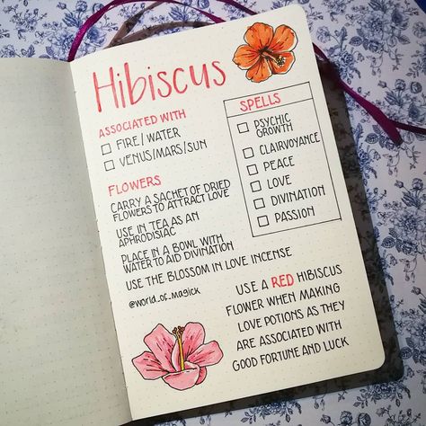 World of Magick on Instagram: “The hibiscus is such a beautiful flower 🌸🌸🌸 It is associated with both water and fire due to its delicate nature and sensitivity but also…” Water And Fire, Magickal Herbs, Witch Herbs, Magia Das Ervas, Green Witchcraft, Witchcraft Books, Wiccan Magic, Spiritual Journals, Grimoire Book