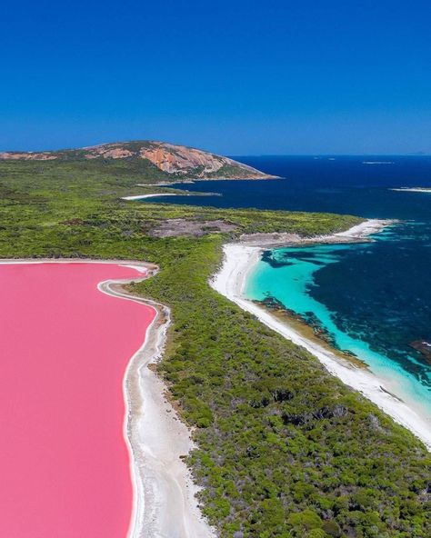 Hutt Lagoon, Pink Lake, Milk Shake, Island Home, Pink Colour, Outdoor Photography, Awe Inspiring, Natural World, Travel Photos