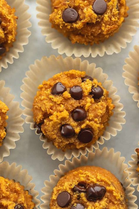 Keto Chocolate Chip Pumpkin Muffins - Gluten Free and Paleo • Low Carb with Jennifer Keto Pumpkin Muffins, Chocolate Chip Pumpkin Muffins, Low Carb Pumpkin Muffins, Keto Muffin Recipe, Keto Comfort Food, Gluten Free Pumpkin Muffins, Four Score, Keto Muffins, Pumpkin Muffin Recipes