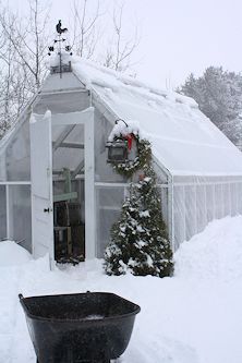 Year-round Uses for A Cold Climate Greenhouse Beautiful Greenhouse, Cold Climate Gardening, Garden Winter, Winter Greenhouse, Greenhouse Shed, Greenhouse Ideas, Greenhouse Growing, Small Greenhouse, Greenhouse Plans