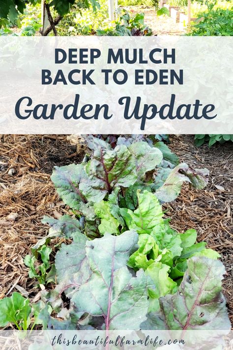 Our Deep Mulch Back to Eden Garden Update - this beautiful farm life Back To Eden Garden, Back To Eden, Garden Plant Markers, Edible Landscape, Eden Garden, Wood Mulch, Grow Food, Garden Fun, Potager Garden