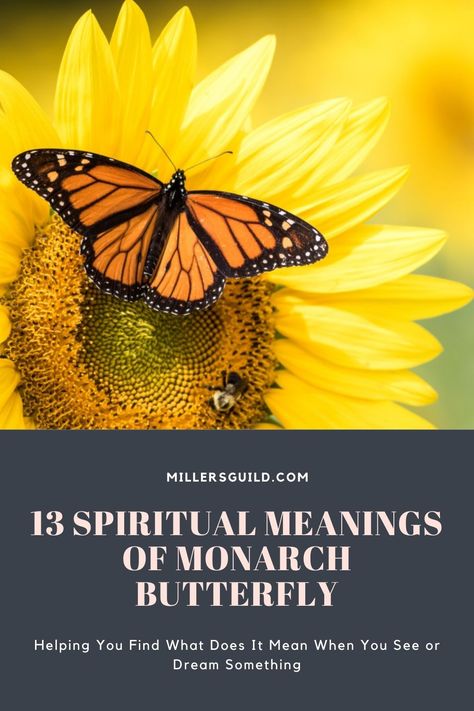 13 Spiritual Meanings of Monarch Butterfly Monarch Butterfly Meaning, Animals Symbolism, Yellow Butterfly Meaning, Butterfly Spirit Animal, Butterfly Symbolism, Orange And Black Butterfly, Butterfly Meaning, Monarch Butterfly Tattoo, Animal Symbolism