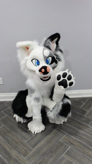 Border Collie Fursuit, Fursuits For Sale, Canine Fursuit, Wolf Fursuit, Fursuit Paws, Fursuit Tutorial, Fur Suits, Fursuit Head, Animal Wallpaper