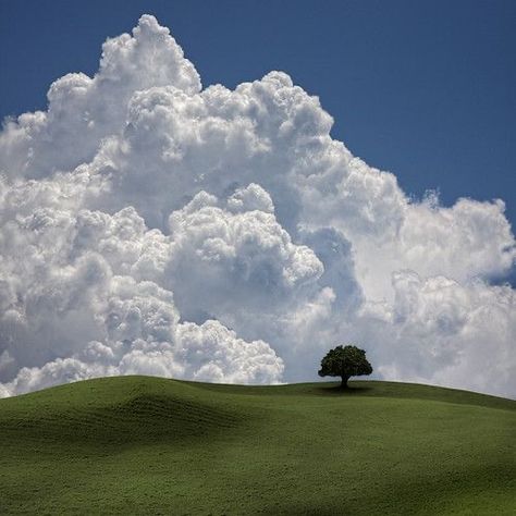 Magic Places, Dream Core, Clouds Photography, Lone Tree, Liminal Spaces, Cloud Painting, Tableaux Paysage, White Clouds, Sky And Clouds