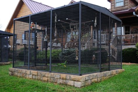 outdoor aviary landscape | 10x12 Outdoor Parrot Aviaries by CBD | Flickr - Photo Sharing! #aviariesdiy Aviary Ideas Outdoor, Outdoor Aviary, Aviary Ideas, Pigeon Cage, Pet Bird Cage, Large Bird Cages, Parrot Pet, Outdoor Cat Enclosure, Bird House Kits