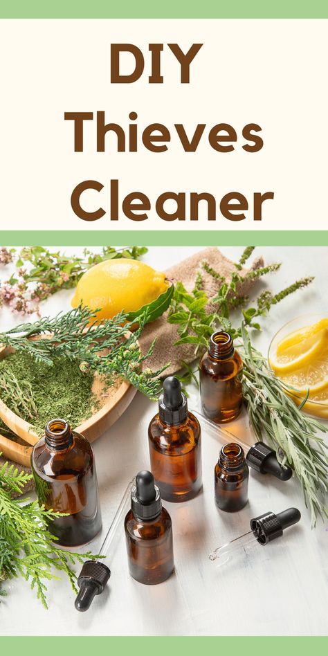 Thieves Cleaner Recipe, Antiviral Essential Oils, Thieves Spray, Essential Oil Bug Spray, Thieves Oil, Bug Spray Recipe, Thieves Cleaner, Natural Cleaning Solutions, Thieves Essential Oil