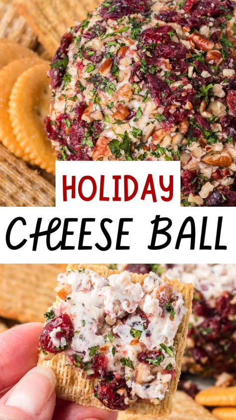 If you’re looking for an easy appetizer to serve when you’re entertaining this holiday season, try this traditional Holiday Cheese Ball! Two types of cheese are mixed with tangy dried cranberries, fragrant chopped rosemary, and pecan pieces, then rolled in even more cranberries, pecans and parsley for a colorful and festive starter. Serve it with your favorite crackers or veggies for a tasty snack your guests will return to again and again! Scalloped Sweet Potatoes, Cheese Ball Recipes Easy, Holiday Cheese, Christmas Cheese, Festive Appetizers, Cranberry Cheese, Easy Cheese, Cheese Ball Recipes, Cranberry Recipes