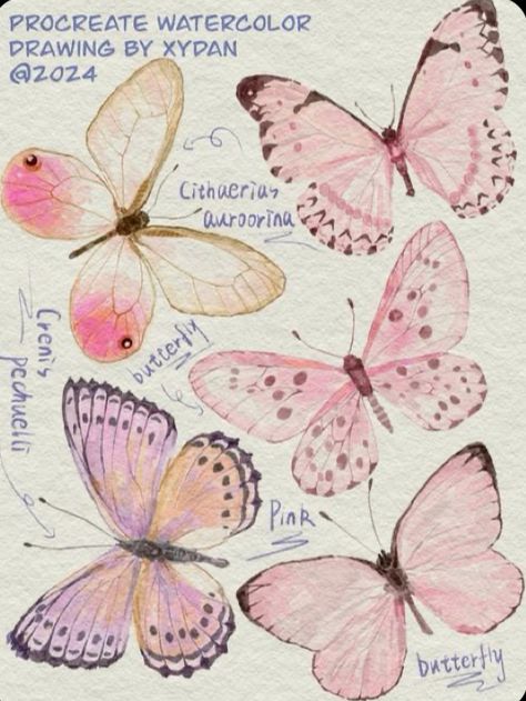 Aesthetic Butterflies Drawing, Butterfly Drawing Ideas Creative, Butterflies Drawing Aesthetic, Pretty Butterfly Drawings, Butterfly Aesthetic Drawing, Drawing Fillers, Butterfly Drawing Sketches, Pink Butterfly Poster, Butterfly Drawing Aesthetic