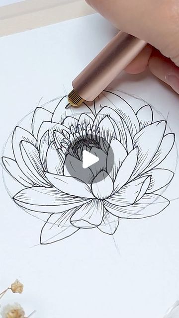 Water Lilly Drawing Flowers, How To Draw A Lotus Flower, Lotus Drawing Art, Water Lilies Drawing, Easy Lotus Drawing, Chinese Flowers Drawing, Waterlily Drawing, Flower Drawing Tutorial Step By Step, Water Lily Drawing