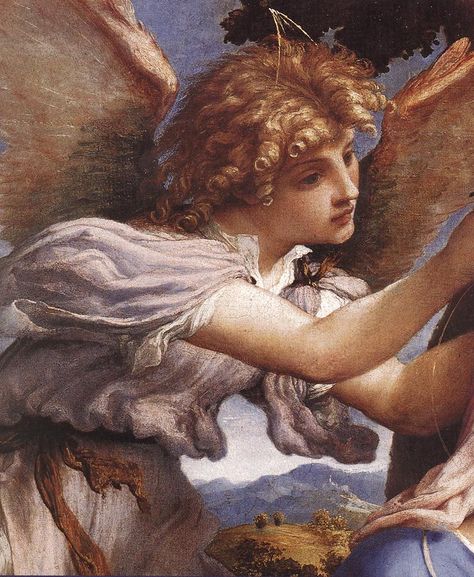 Lorenzo Lotto - Madonna and Child with Saints and an Angel (detail) Angel Gabriel, Rennaissance Art, Archangel Gabriel, San Michele, Angel Painting, Biblical Art, Madonna And Child, Old Paintings, Caravaggio