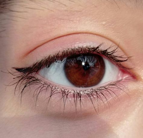 brown eyes - eyes - beautiful eyes Auburn Eyes Color, Coffee Brown Eyes, Eye Color Claim, Big Brown Eyes Aesthetic, Bright Brown Eyes, Reddish Brown Eyes, Nut Brown Eyes, Light Brown Eye Color, Russet Eyes