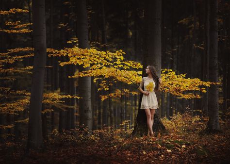 https://flic.kr/p/AgzLrs | Spread your wings and let the fairy in you fly | Selfportrait in the forest above my village. I love Rychleby mountains so much. FACEBOOK Fall Portraits, Nature Photoshoot, Forest Photos, Photoshop For Photographers, Foto Poses, Spring Photography, Forest Photography, Fall Photoshoot, Shooting Photo