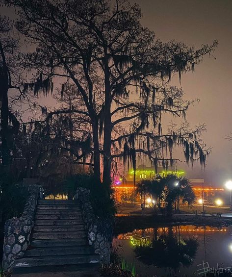 Dark Tropical Aesthetic, Bayou Aesthetic, Southern Gothic Aesthetic, Southern Nights, Dark Tropical, Tropical Aesthetic, New Orleans Travel, Southern Gothic, Gothic Aesthetic