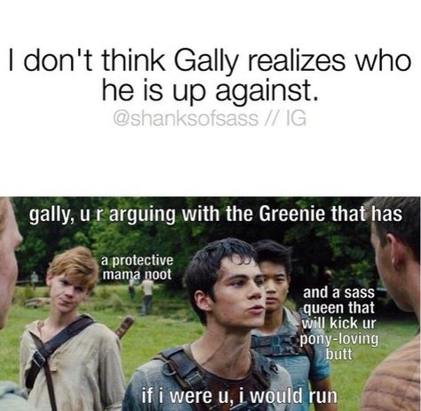 Runner Jokes, Maze Runner Thomas, Maze Runner Trilogy, Maze Runner Funny, Maze Runner Imagines, Maze Runner Cast, Maze Runner Movie, Newt Maze Runner, The Scorch