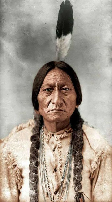 Native American Photography, Native American Drawing, Witcher Wallpaper, Sitting Bull, American Indian History, Native American Warrior, Native American Images, Native American Chief, Native American Men