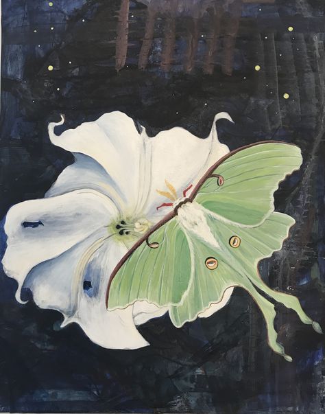 Art Nouveau Luna Moth, Lunar Moth Painting, Luna Moth Color Palette, Moth Pfp Aesthetic, Luna Moth Painting Acrylic, Luna Moth Aesthetic, Luna Moth Wallpaper, Luna Moth Drawing, Luna Moth Painting